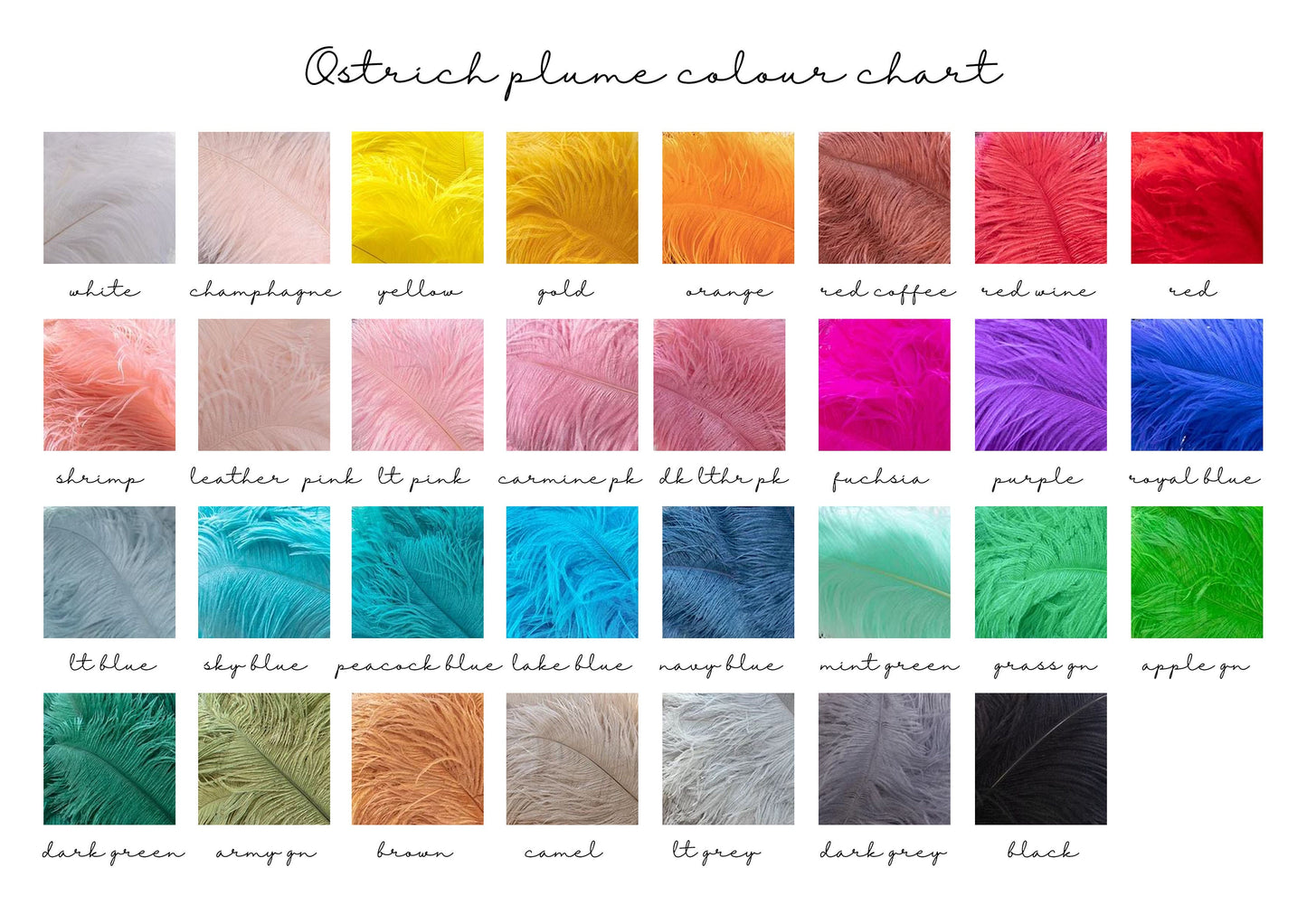 You can choose different colour options of ostrich plumes: white, champagne, yellow, gold, orange, red coffee, red wine, red, shrimp, leather pink, light pink, carmine pink, dark leather pink, fuchsia, purple, royal blue, light blue, sky blue, peacock blue, lake blue, navy blue, mint green, grass green, apple green, dark green, army green, brown, camel, light grey, dark grey, black